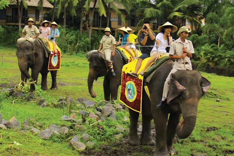 Wahana Elephant Back Safari  di Bali Safari & Marine Park atau Taman Safari Bali