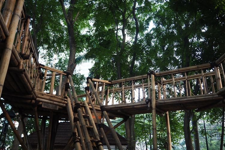 Ilustrasi Taman Bambu di Kota Tangerang, Banten.