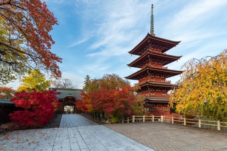 Saishoin Temple Five Storied Pagoda.