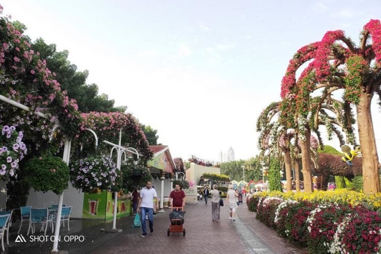 Wisatawan menikmati obyek wisata Dubai Miracle Garden, taman bunga seluas 72.000 meter persegi yang ada di Kota Dubai, Uni Emirat Arab. 